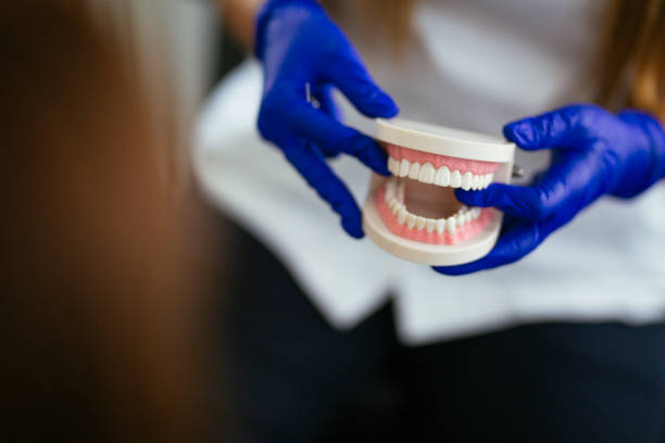 Daytona Beach, FL Dental Services Company